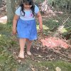 olese1b 27